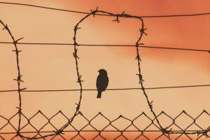 words from prison