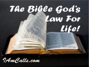 The Bible and Life
