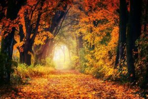 the way