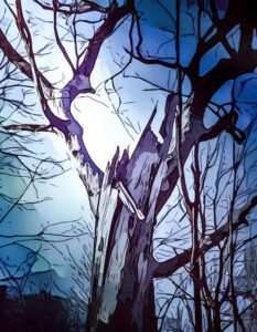 hope of winter
