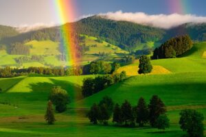 Caleb's Rainbows