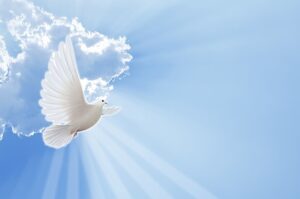 heart...mind...temple