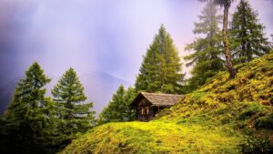 The Hill…Of Life